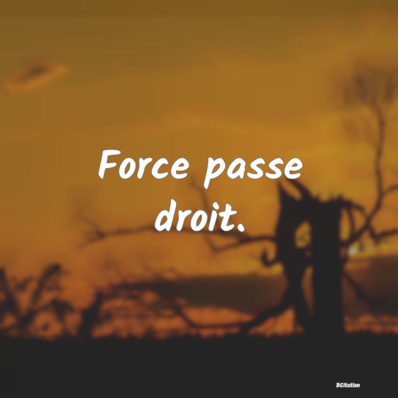 image de citation: Force passe droit.